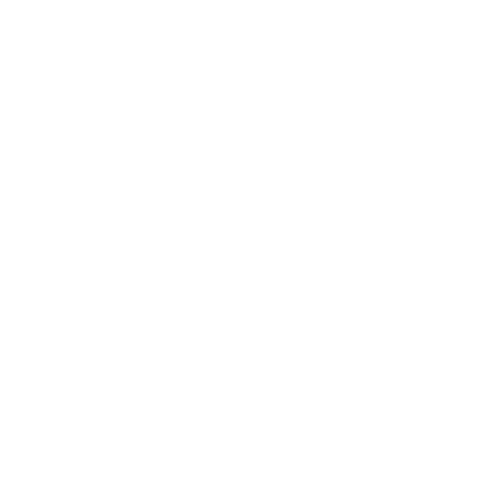 SPIN